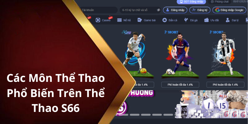 Các Môn Thể Thao Phổ Biến Trên Thể Thao S66