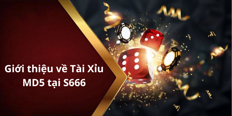 Giới thiệu về Tài Xỉu MD5 tại S666