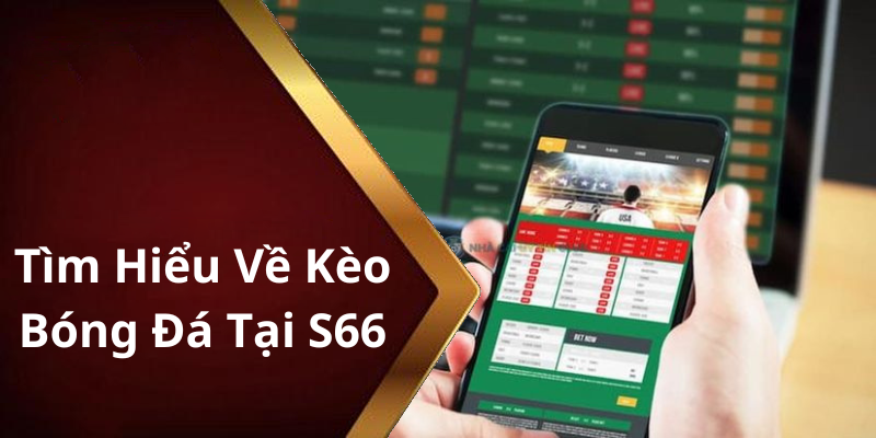 Tìm Hiểu Về Kèo Bóng Đá Tại S66