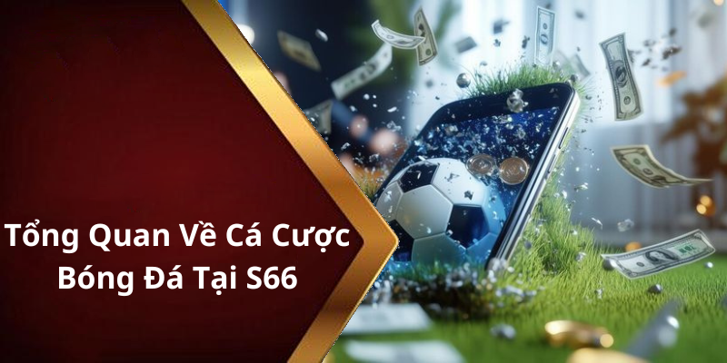 Tổng Quan Về Cá Cược Bóng Đá Tại S66