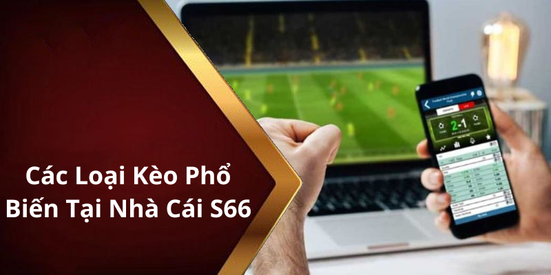 Các Loại Kèo Phổ Biến Tại Nhà Cái S66