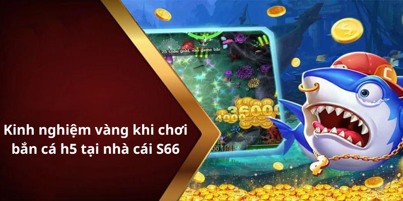 Kinh nghiệm vàng khi chơi bắn cá h5 tại nhà cái S66