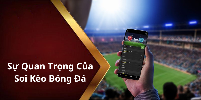 Sự Quan Trọng Của Soi Kèo Bóng Đá