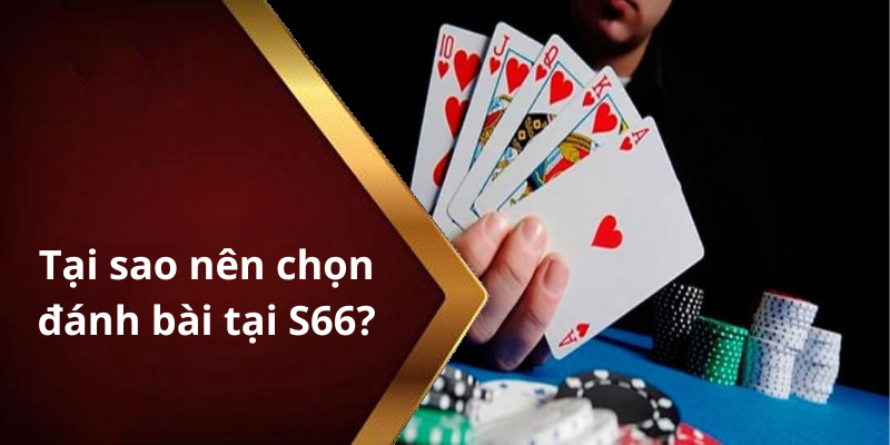 Tại sao nên chọn đánh bài tại S66