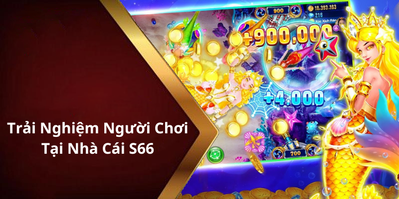 Trải Nghiệm Người Chơi Tại Nhà Cái S66