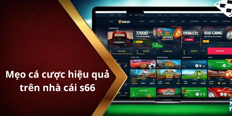 Mẹo cá cược hiệu quả trên nhà cái s66