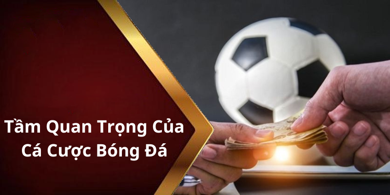 Tầm Quan Trọng Của Cá Cược Bóng Đá