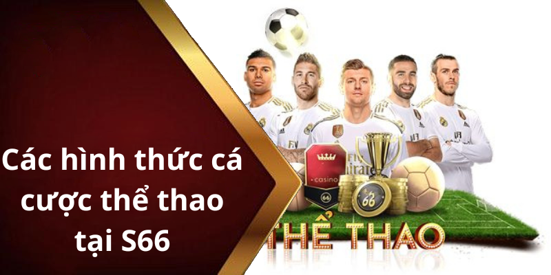 Các hình thức cá cược thể thao tại S66