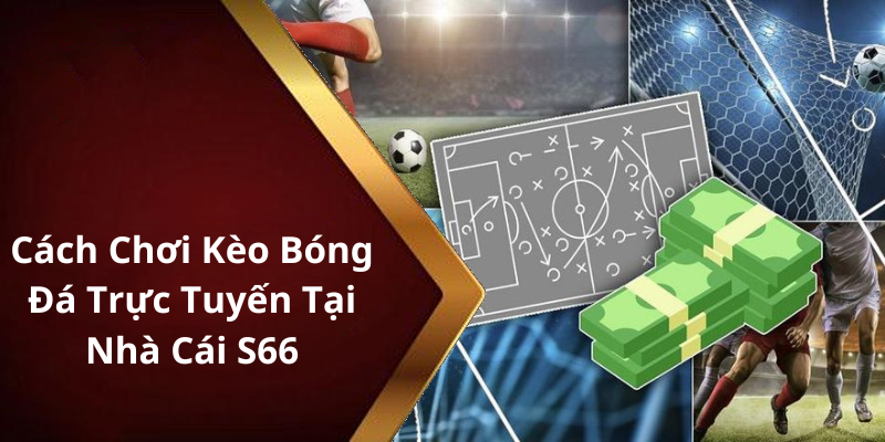 Cách Chơi Kèo Bóng Đá Trực Tuyến Tại Nhà Cái S66