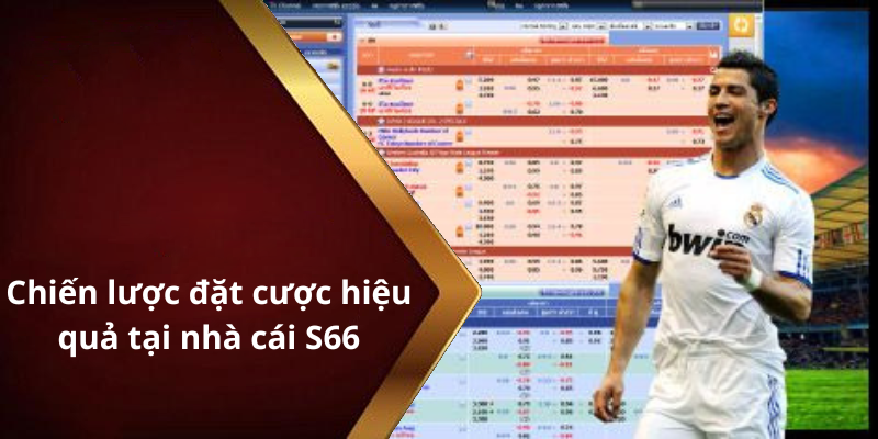 Chiến lược đặt cược hiệu quả tại nhà cái S66